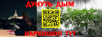 бошки Будённовск