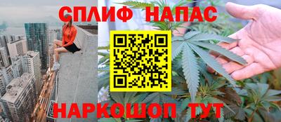 бошки Будённовск