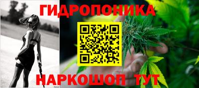 крисы Бузулук